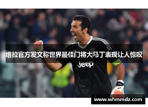 维拉官方发文称世界最佳门将大马丁表现让人惊叹